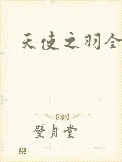 天使之羽全集
