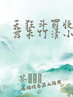 天狂斗罗收服小舞朱竹清小说