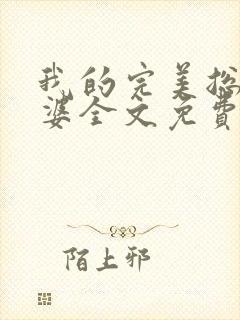 我的完美总裁老婆全文免费阅读