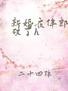 新婚夜伴郎把处破了h