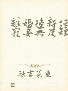 离婚后新任老公宠妻无度短剧全集