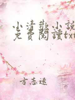小清欢小说全文免费阅读txt下载