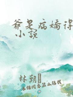 爷是病娇得宠着 小说