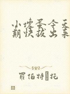 小坏蛋今天危险期快拔出来