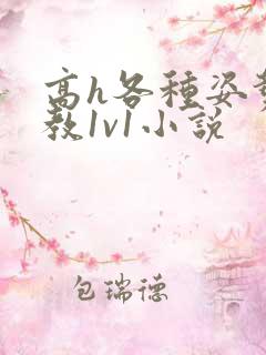 高h各种姿势调教1v1小说