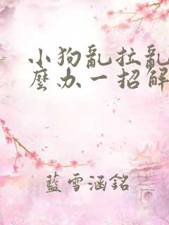 小狗乱拉乱尿怎么办一招解决