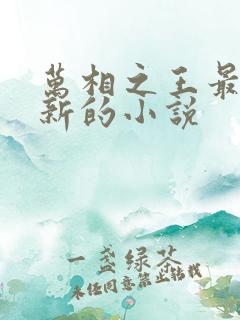 万相之王最快更新的小说