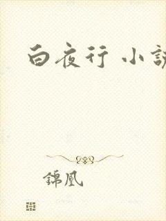 白夜行 小说