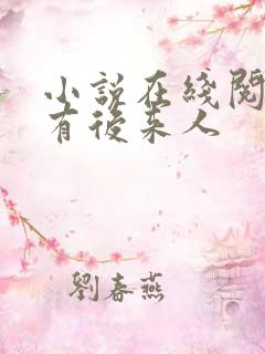 小说在线阅读还有后来人