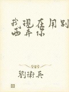 我现在用别的东西弄你