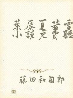 叶辰夏若雪有声小说免费听