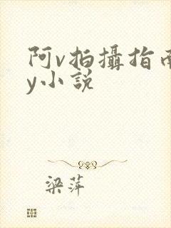 阿v拍摄指南by小说