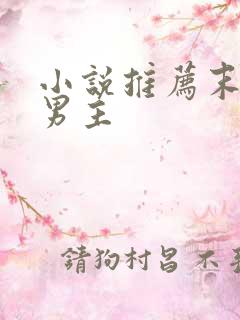 小说推荐末世双男主