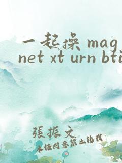 一起操 magnet xt urn btih