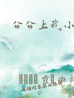 公公上我小说