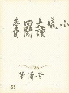 梦回大曦小说免费阅读