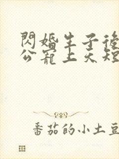 闪婚生子后被老公宠上天短剧热播