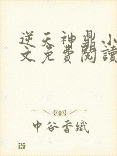 逆天神鼎小说全文免费阅读