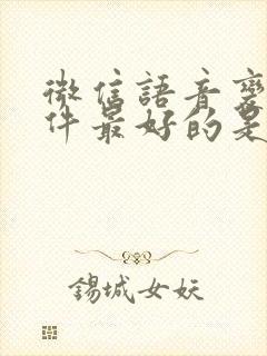 微信语音变声软件最好的是哪个