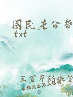 国民老公带回家 txt