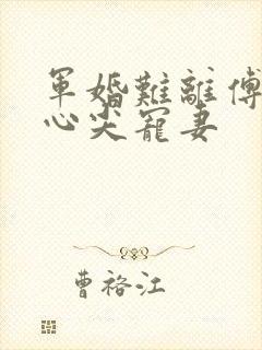 军婚难离傅少的心尖宠妻