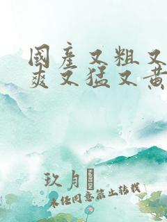 国产又粗又硬又爽又猛又黄视频