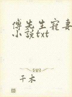 傅先生宠妻无度小说txt