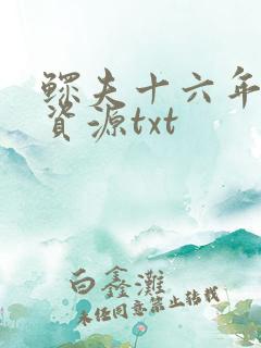 鳏夫十六年网盘资源txt