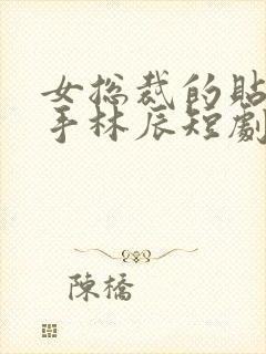 女总裁的贴身高手林辰短剧免费观看全集