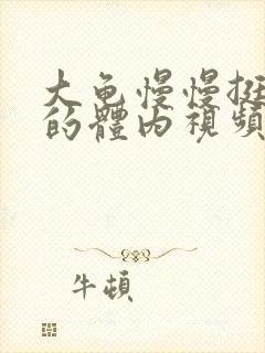 大龟慢慢挺进我的体内视频