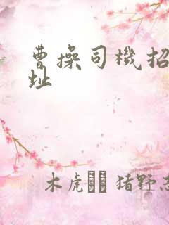 曹操司机招募地址