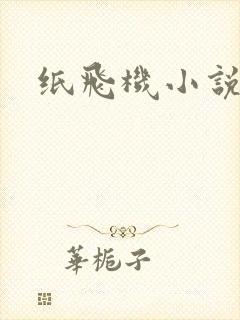 纸飞机小说