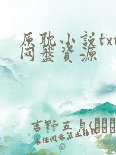 原耽小说txt网盘资源