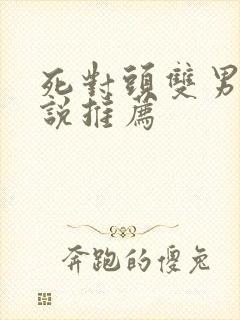 死对头双男主小说推荐