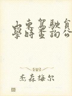 山东驾驶员培训学时查询公众平台