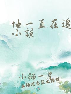 他一直在追初恋小说