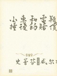 小车和电瓶车相撞后的赔偿