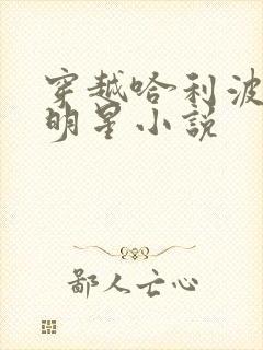 穿越哈利波特当明星小说