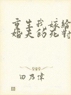 重生我嫁给了未婚夫的死对头