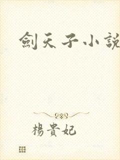 剑天子小说
