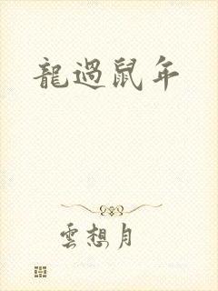 龙过鼠年