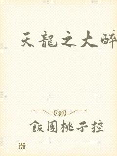 天龙之大醉侠