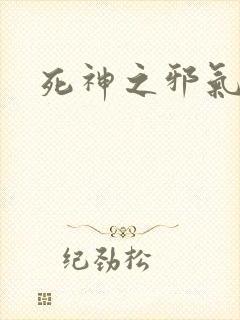 死神之邪气一护