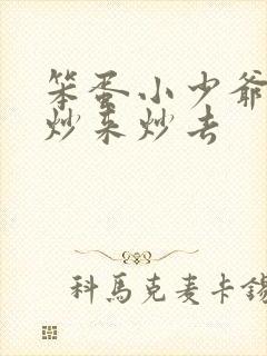 笨蛋小少爷又被炒来炒去