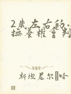 2岁左右的小孩抚养权会判给谁