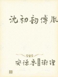 沈初韵傅胤小说