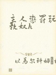 主人惩罚玩弄调教奴h