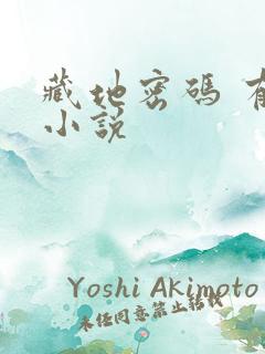 藏地密码 有声小说