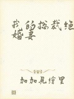 我的总裁绝色未婚妻