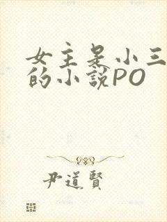 女主是小三很婊的小说PO